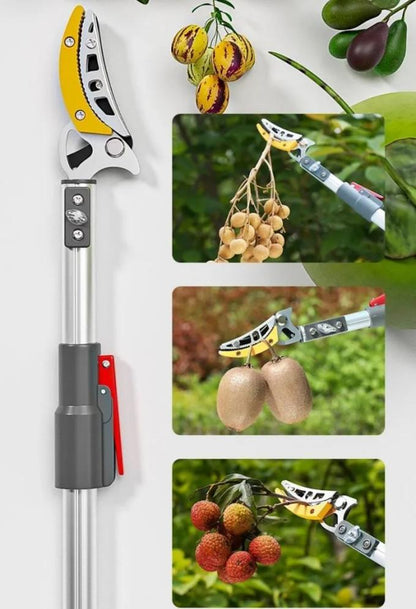 Sécateur Télescopique Professionnel 2 en 1
