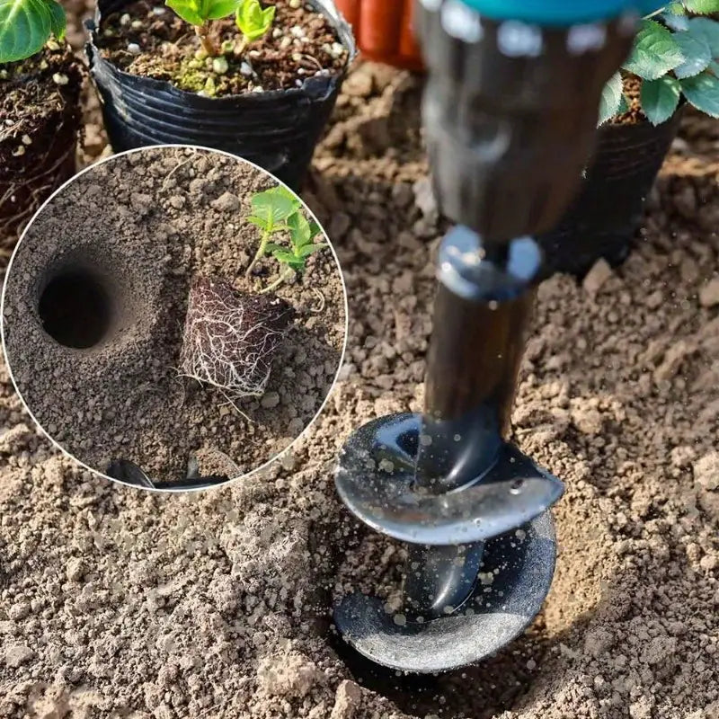 Foret à spirale de jardin