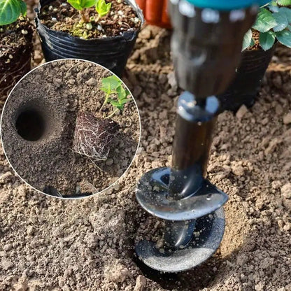 Foret à spirale de jardin